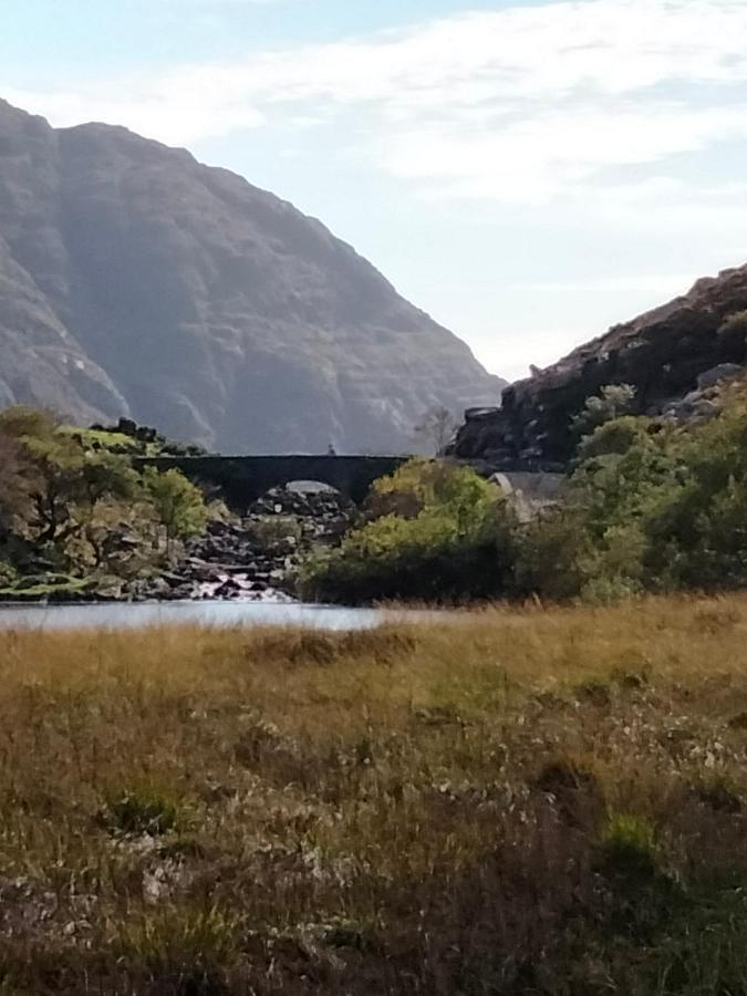 Larkfield House B&B, Ballycasheen Kerry V93 Wd51 Cill Airne Exteriör bild
