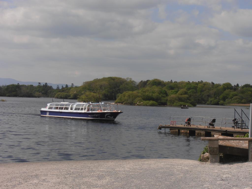 Larkfield House B&B, Ballycasheen Kerry V93 Wd51 Cill Airne Exteriör bild
