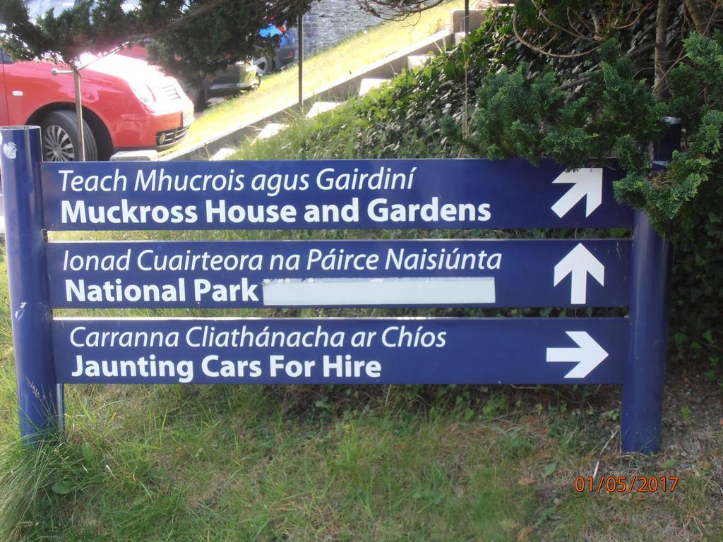 Larkfield House B&B, Ballycasheen Kerry V93 Wd51 Cill Airne Exteriör bild