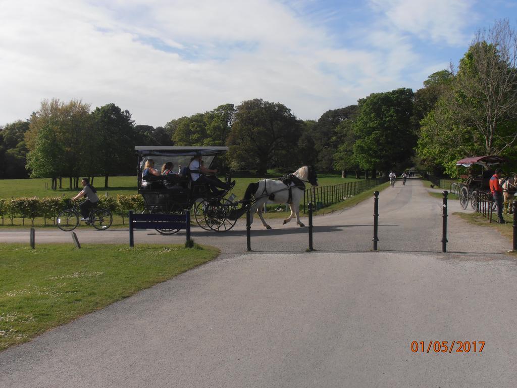 Larkfield House B&B, Ballycasheen Kerry V93 Wd51 Cill Airne Exteriör bild